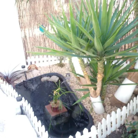 Bed & Breakfast Primavera Bed And Breakfast. L'Alfas del Pi